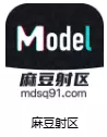 麻豆射區